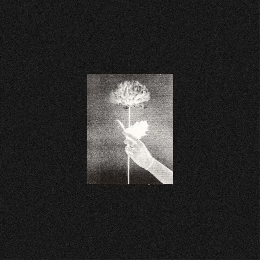White Flowers - Day By Day  CD